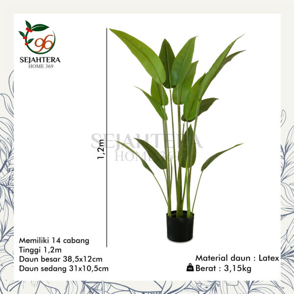 Dekorasi Pohon Pisang Lancip