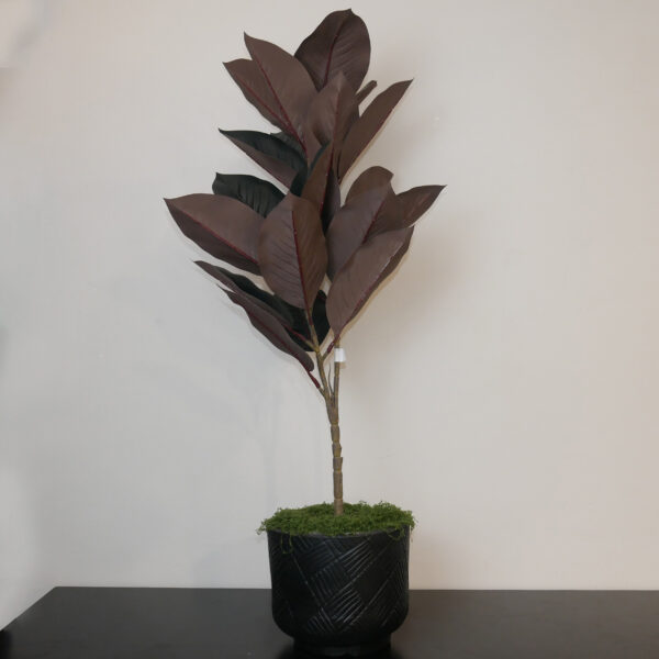 Rangkaian Pohon Karet Artificial Florist